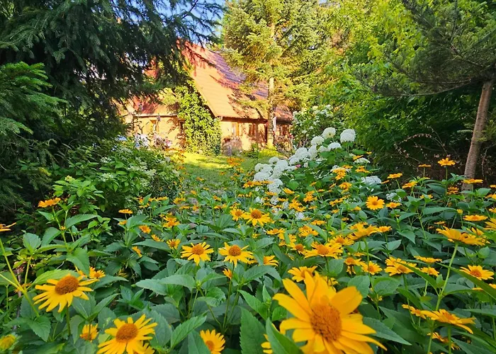 Warminski Dom Nad Jeziorem Holiday home